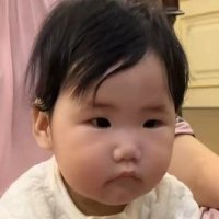 小小飞天鼠