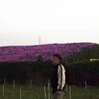 a573556796
